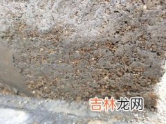 水泥保存一年没结块能用吗,水泥未结块的部分还能用吗？