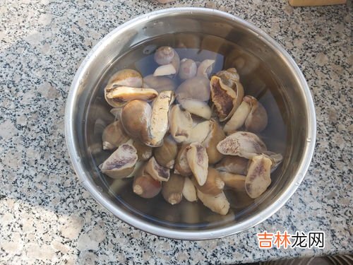 鲍鱼煮多久,鲍鱼要煮多久才熟透