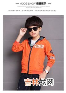 11岁男孩外套品牌排行榜,外套什么牌子好