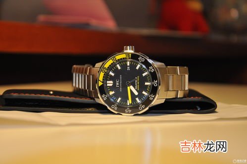 iwc万国手表型号查询329258,万国手表怎么查型号
