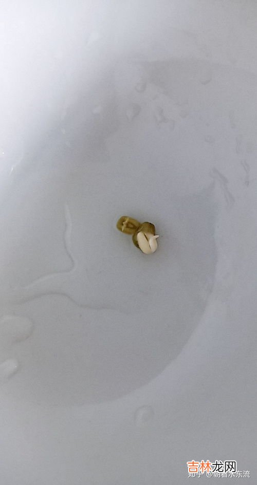 绿豆多久能煮熟,绿豆多久能煮熟 绿豆多长时间能煮熟