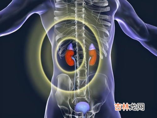 肾为什么会萎缩,肾变小了，是什么原因？