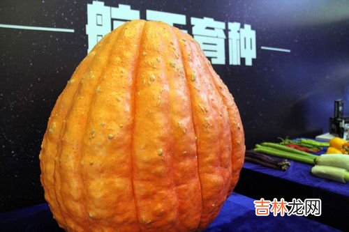 神舟飞船有什么作用,神舟十四号飞船有何重大意义?