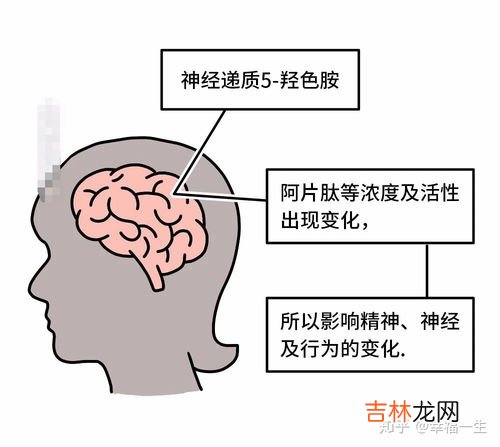大姨妈来了为什么会拉肚子,大姨妈腹泻怎么回事