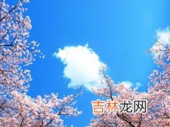 红了樱花,青了黛瓦什么意思,樱花爱情语录