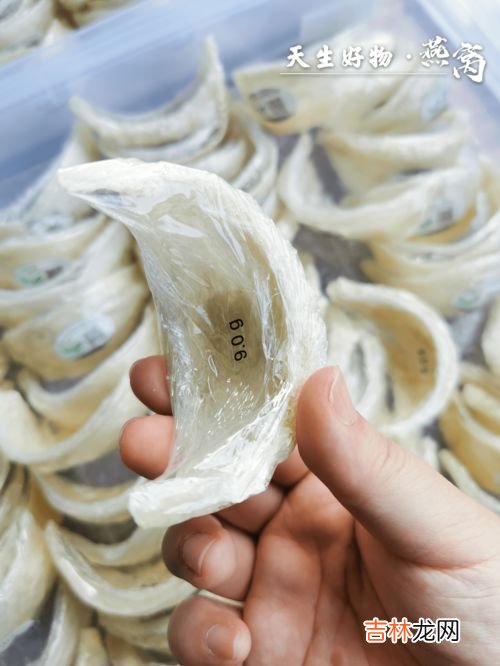 金丝燕窝的功效与作用,冰糖金丝燕窝怎么吃