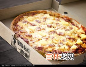 加拿大披萨品牌排行榜,披萨品牌十大排行榜