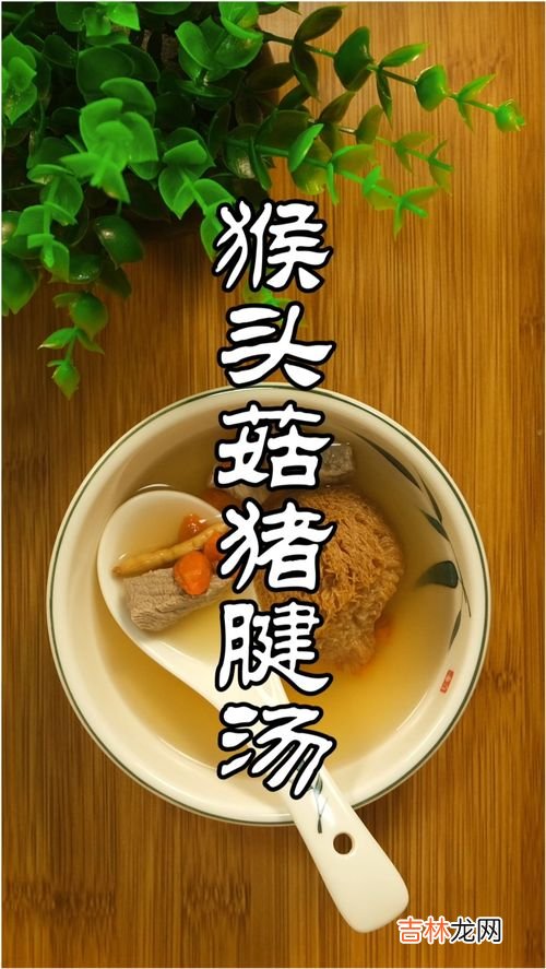 猴头菇菌胶囊的作用,猴头菇的功效与作用是什么?
