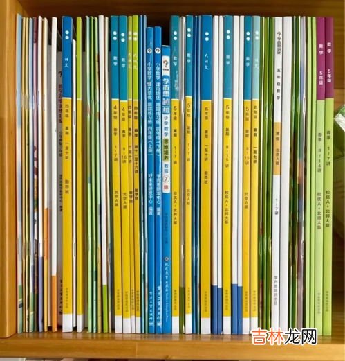 吊卡是什么,PVC吊卡是什么