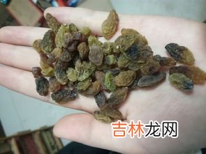 黑色葡萄干叫啥名,黑加仑？到底是不是葡萄干