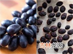 黑色葡萄干叫啥名,黑加仑？到底是不是葡萄干