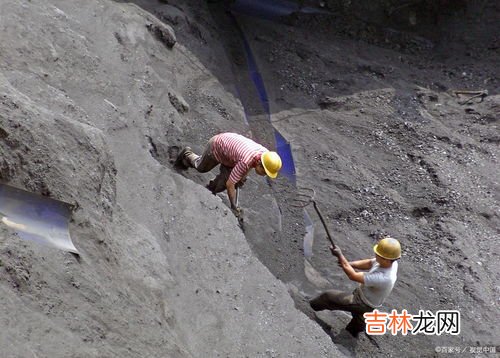 灰尘对人类有哪些危害,灰尘对人类有哪些危害不超过让他20个字？