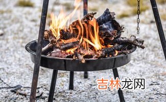 普通木头能烧烤吗,用木头烧烤有毒吗