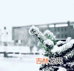 长春今年为什么不下雪,长春每年冬天会下雪吗