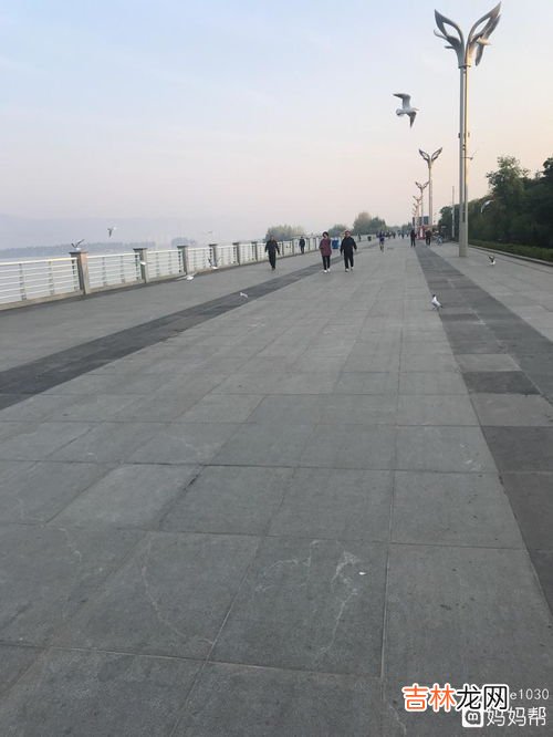 为什么晚上跑步睡不着,为什么运动过反倒睡不着？