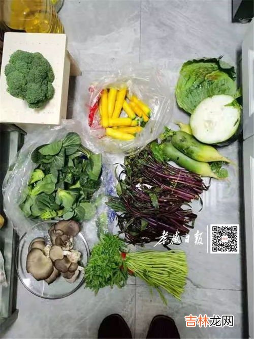 2月份种什么菜,2月能种什么蔬菜?