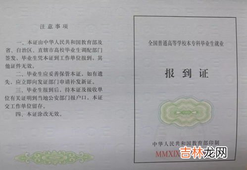 报到证抬头和档案接收地址的区别是什么,报到证上抬头的地址就是档案所在地吗