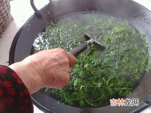艾叶煮水洗澡要煮多久,生姜艾叶煮水要煮多长时间 使用生姜艾叶煮水煮多久