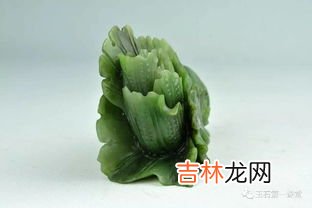 疙瘩白是什么菜,噶的白和白菜有区别吗