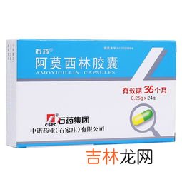 阿莫锋 阿莫西林胶囊多少钱一盒,四川阿莫西林胶囊价格