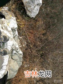 汉白玉产地在哪里,云浮汉白玉产地在哪