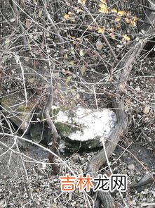 汉白玉产地在哪里,云浮汉白玉产地在哪