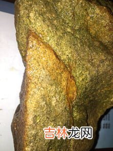 石头上的青苔辨别方向,青苔一般长在石头的什么方向？