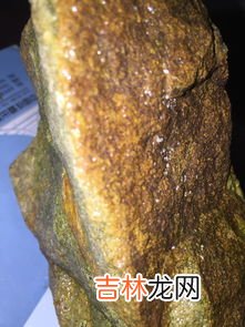 石头上的青苔辨别方向,青苔一般长在石头的什么方向？