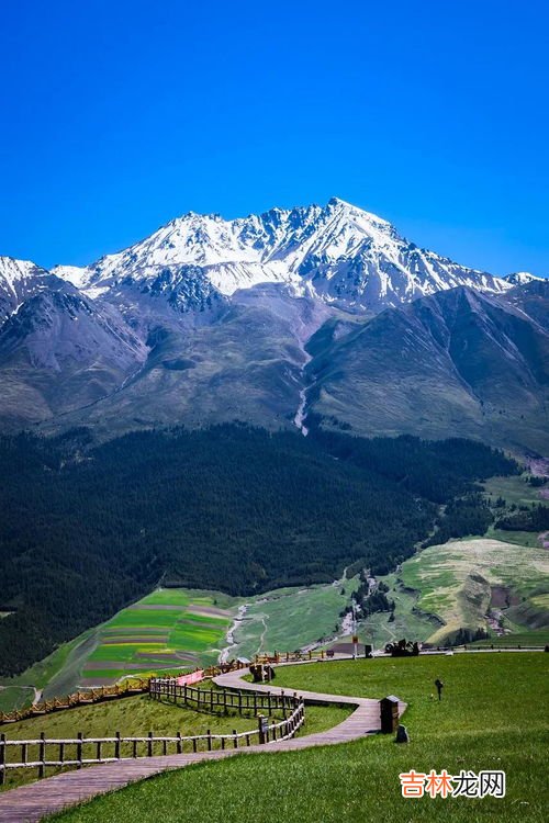 青海属于哪个地区,青海属于哪里