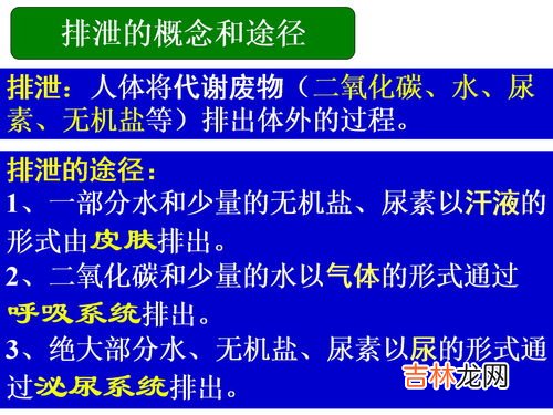 精氨酸酶在尿素生成中的作用,简述尿素的合成过程？动物生物化学的试题，拜托各位了 3Q