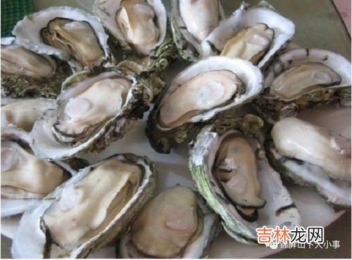 生蚝就是牡蛎吗,牡蛎是生蚝吗？