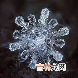 雪花长什么样子,雪花是什么样子的？