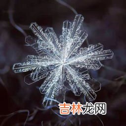 雪花长什么样子,雪花是什么样子的？