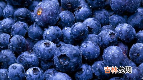 蓝莓软胶囊有什么好处,蓝莓液体软胶囊的功效