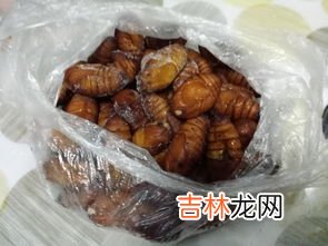 蚕蛹能冻吗,蚕蛹可以冷冻保存吗