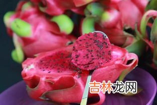 火龙果怎么保存,火龙果怎么保存?