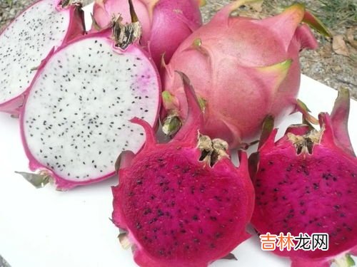 火龙果怎么保存,火龙果怎么保存?