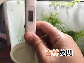 自来水是硬水还是软水,自来水属于硬水还是软水