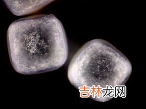月亮上的环形山,月亮上有山脉吗？