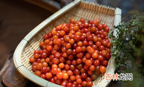 蜂蛹泡酒的制作方法,蜂蛹、蜂巢与杜仲可以一起泡酒吗？