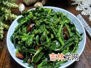 菜苔花能吃吗,菜苔的花可不可以吃