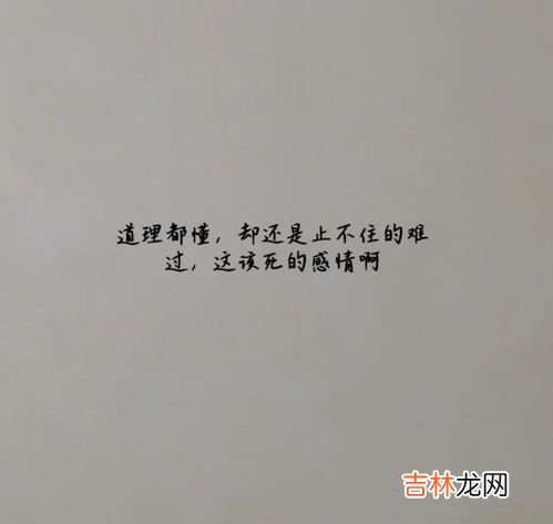 无fuc可说是什么意思,非主流什么意思