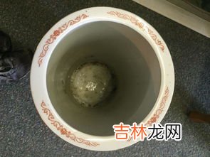 帽筒是干什么的,清代帽筒，知道的帮忙鉴定下，帽筒属于什么瓷器，收藏价值和拍卖价格大概多少？