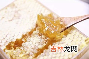 巢蜜有假的吗,蜂巢蜜怎么分辨真假？