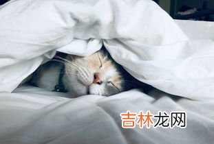 人为什么需要睡眠,为什么人要睡觉