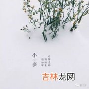 小寒开什么花,春天里的24节气分别开什么花