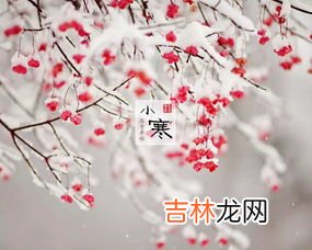 小寒开什么花,春天里的24节气分别开什么花