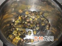 金蝉在地下吃什么食物,金蝉在地下吃什么食物