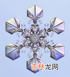 雪花长什么样,雪花长什么样子啊？