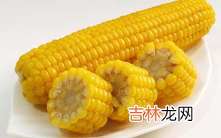 玉米提取物作用,玉米外衣的提取物是什么